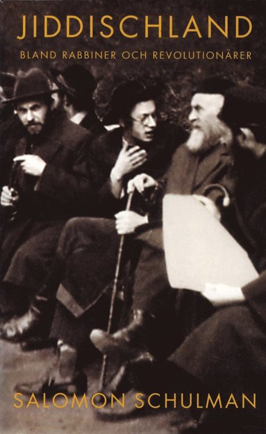 bokomslag Jiddischland : bland rabbiner och revolutionärer