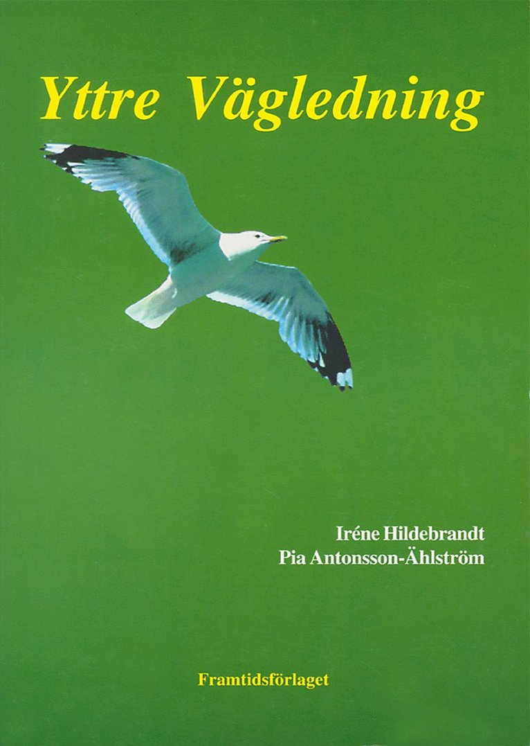 Pia Antonsson-Ählström, Iréne Hildebrandt - Yttre vägledning, Häftad
