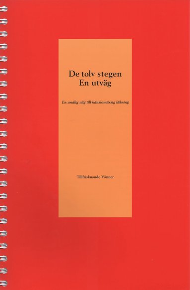 bokomslag De tolv stegen : en utväg - en andlig väg till känslomässig läkning