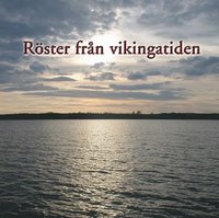 bokomslag Röster från vikingatiden