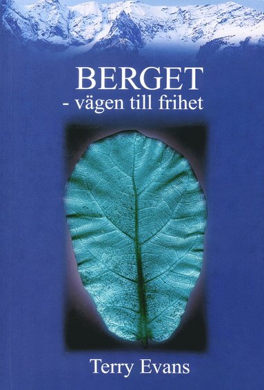 bokomslag Berget : vägen till frihet