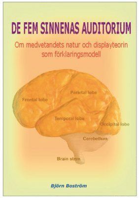 De fem sinnenas auditorium : om medvetandets natur och displayteorin som förklaringsmodell 1
