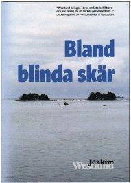 bokomslag Bland blinda skär