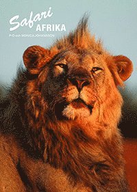 P-O Johansson, Monica Johansson - Safari Afrika, Häftad