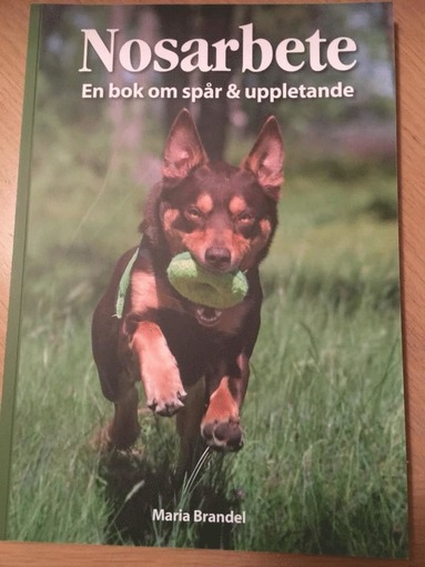 Maria Brandel - Nosarbete, Inbunden