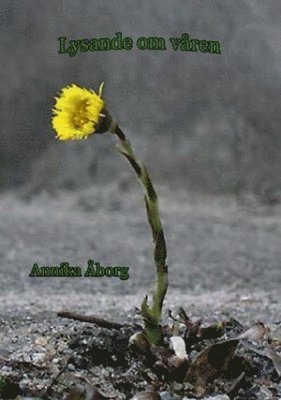 Annika Åborg - Lysande om våren, Häftad