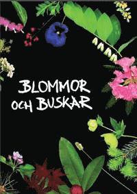 bokomslag Blommor och buskar