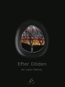 Léon Denis - Efter döden : en framställning av andarnas lära, Häftad