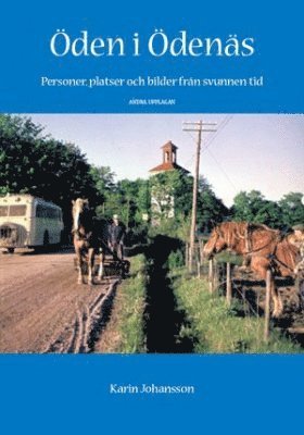bokomslag Öden i Ödenäs : personer, platser och bilder från svunnen tid