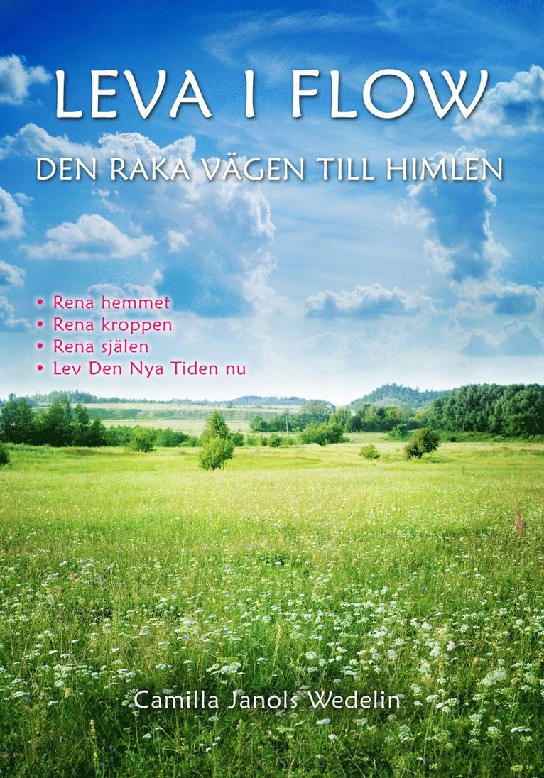 Leva i flow : Den raka vägen till himlen