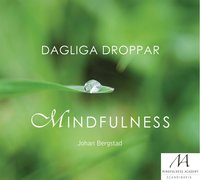 bokomslag Dagliga droppar mindfulness