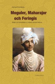 bokomslag Moguler, maharajor och feringis : bilder och berättelser ur Indiens senare historia