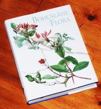 bokomslag Bohusläns flora