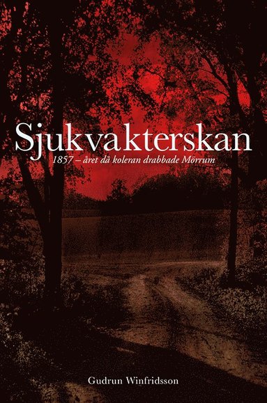 bokomslag Sjukvakterskan : 1857 - året då koleran drabbade Mörrum