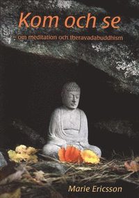 bokomslag Kom och se : om meditation och theravadabuddhism