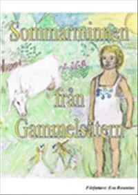bokomslag Sommarminnen från Gammelsätern