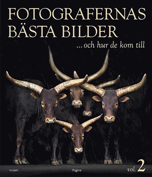 Fotografernas bästa bilder ... och hur de kom till vol. 2