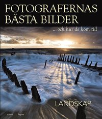 bokomslag Fotografernas bästa bilder och hur de kom till : landskap