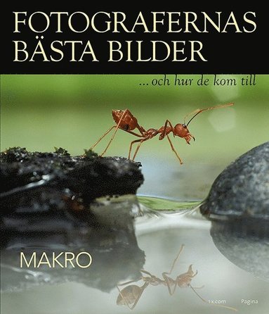 bokomslag Fotografernas bästa bilder - Makro