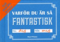 bokomslag Varför - Du är så fantastisk