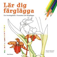 bokomslag Lär dig färglägga : en övningsbok i konsten att färglägga