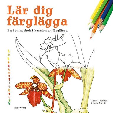 Meriel Thurstan, Rosie Martin - Lär dig färglägga : en övningsbok i konsten att färglägga, Häftad