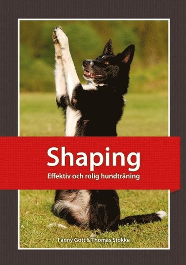 bokomslag Shaping : effektiv och rolig hundträning