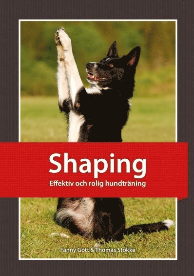 Shaping : effektiv och rolig hundträning 1
