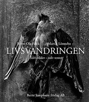 Martin Lönnebo - Livsvandringen. Tolv bilder - tolv texter, Häftad
