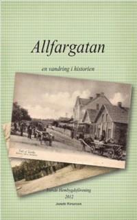 bokomslag Allfargatan : en vandring i historien