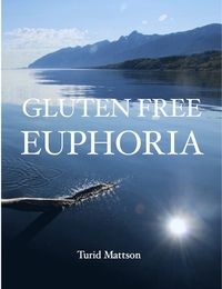 bokomslag Gluten Free Euphoria