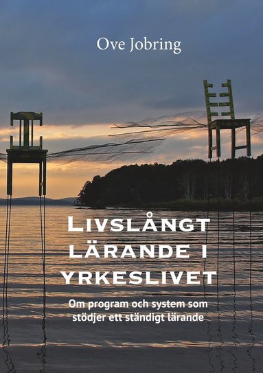 bokomslag Livslångt lärande i yrkeslivet, om program och system som stödjer ett ständigt lärande