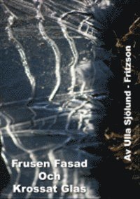 Frusen fasad och krossat glas 1