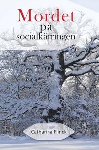 bokomslag Mordet på socialkärringen