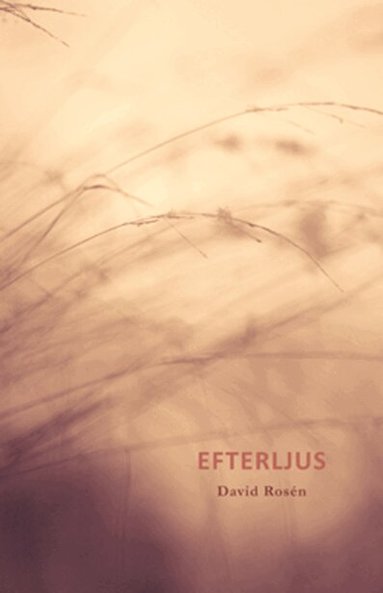 David Rosén - Efterljus, Häftad