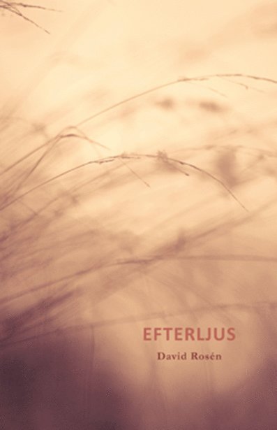 David Rosén - Efterljus, Häftad