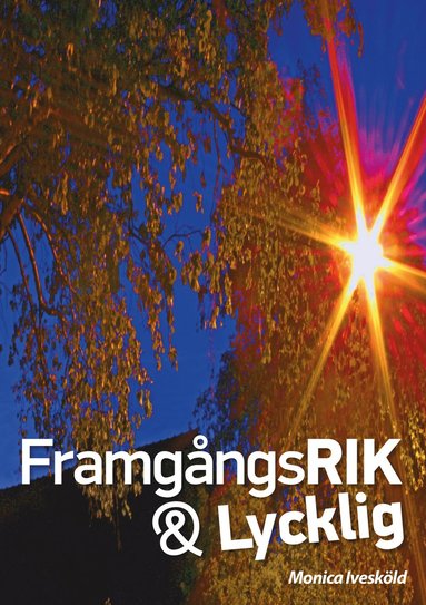 bokomslag Framgångsrik & lycklig