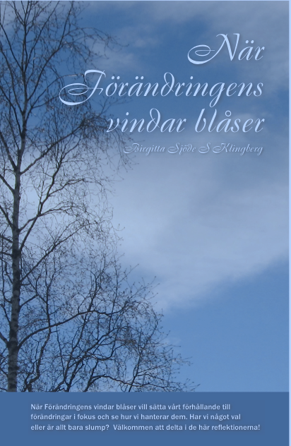 Birgitta Sjöde S. Klingberg - När förändringens vindar blåser, Kartonnage