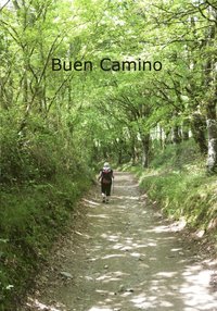 bokomslag Buen Camino