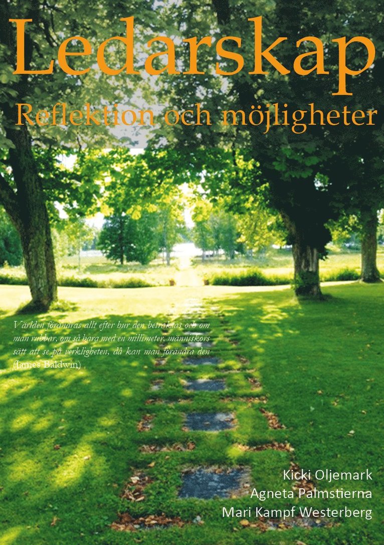 Kicki Oljemark, Agneta Palmstierna, Mari Kampf Westerberg - Ledarskap Reflektion och möjligheter, Häftad