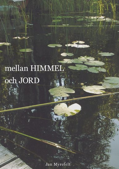 bokomslag Mellan himmel och jord