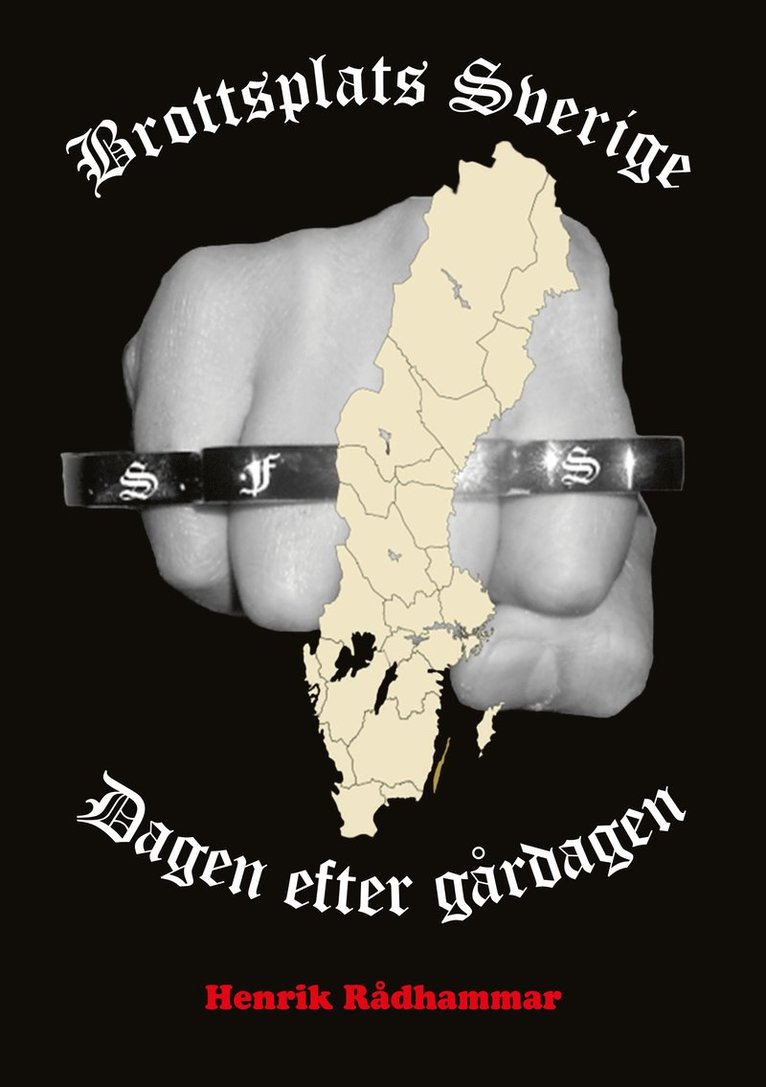 Brottsplats Sverige : dagen efter gårdagen 1
