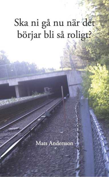 bokomslag Ska ni gå nu när det börjar bli så roligt?