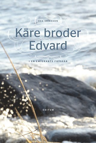 bokomslag Käre broder Edvard