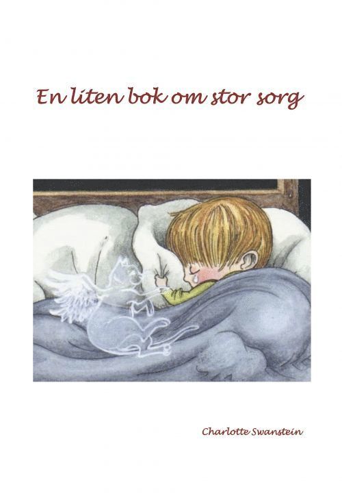 En liten bok om stor sorg 1