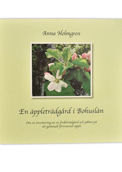 En äppleträdgård i Bohuslän. Om en inventering av en fruktträdgård och jakten på ett gammalt försvunnet äpple. 1