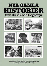 bokomslag Nya gamla historier från Brevik och Högberga