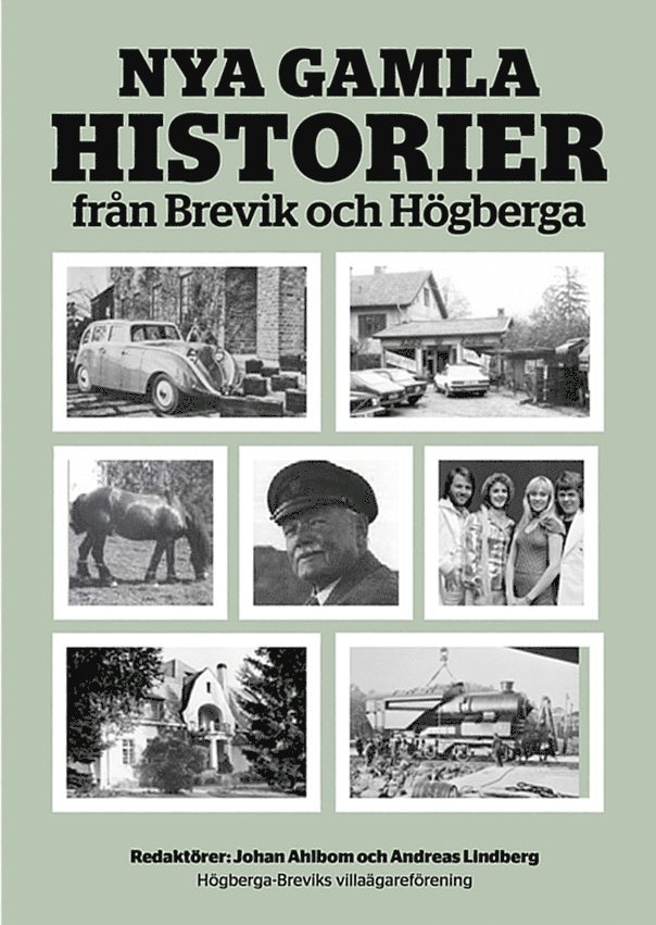 Nya gamla historier från Brevik och Högberga 1