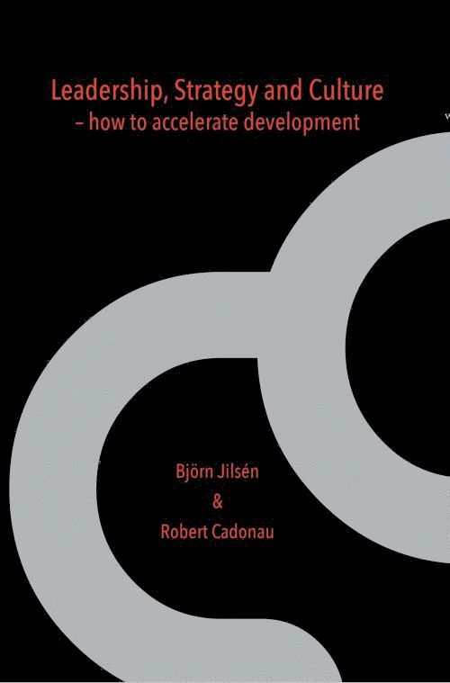 Leadership, strategy and culture : how to accelerate development 1