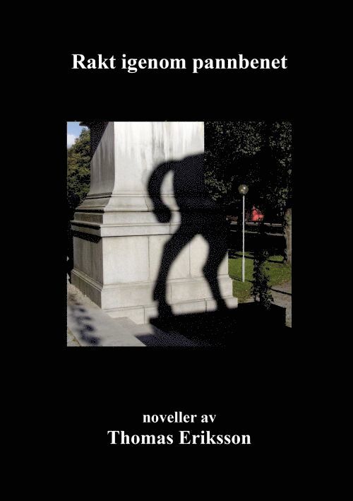 Thomas Eriksson - Rakt igenom pannbenet, Häftad